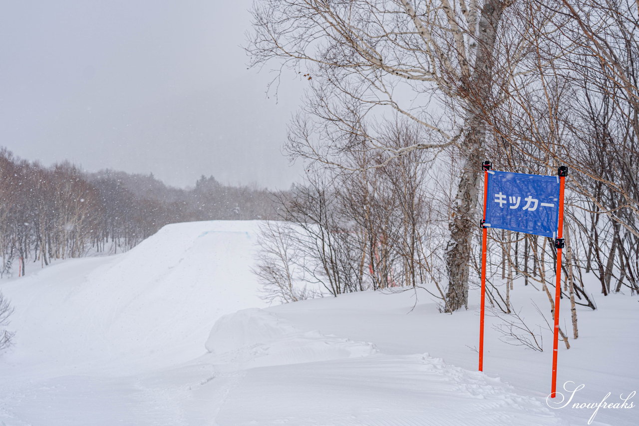 札幌国際スキー場　街は雨でも、山は雪！広々ゲレンデに思う存分シュプールを描こう(^^)/